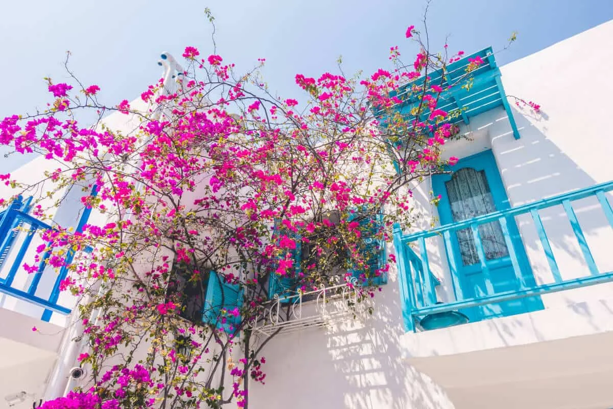 lefkada-1